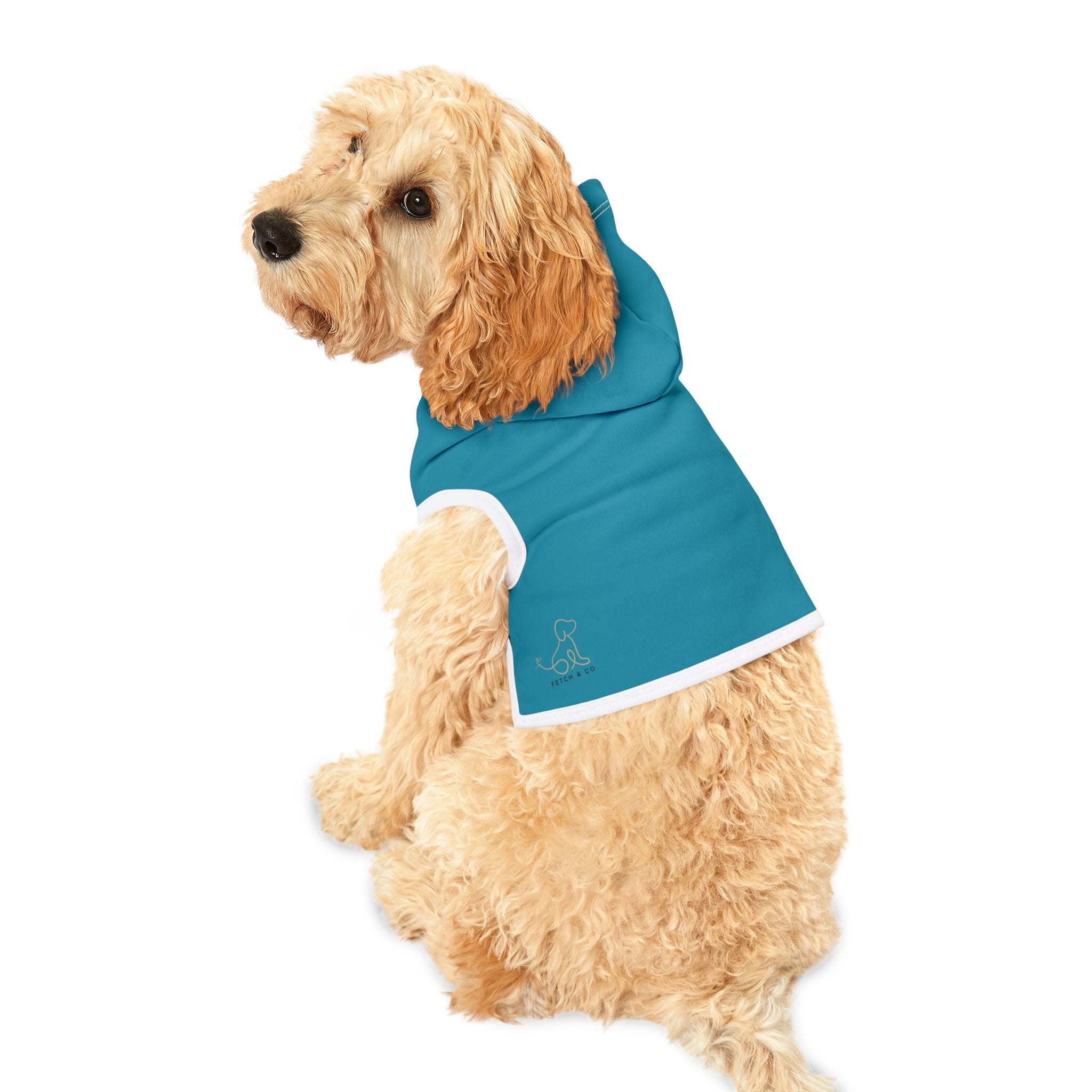 Teal Pet Hoodie