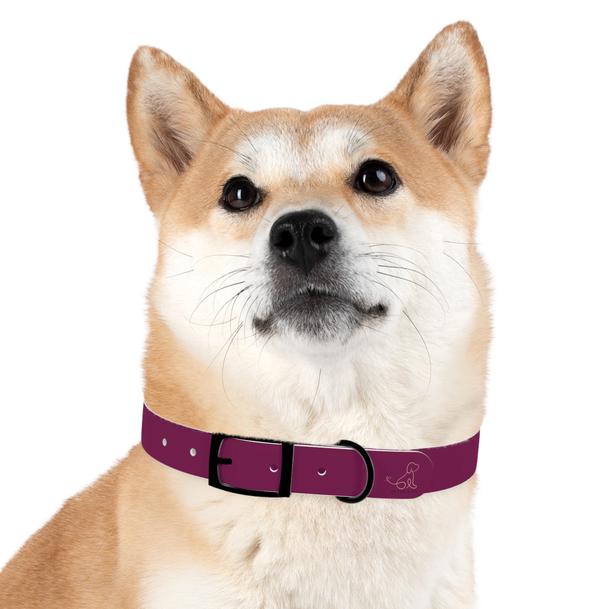 Berry Dog Collar