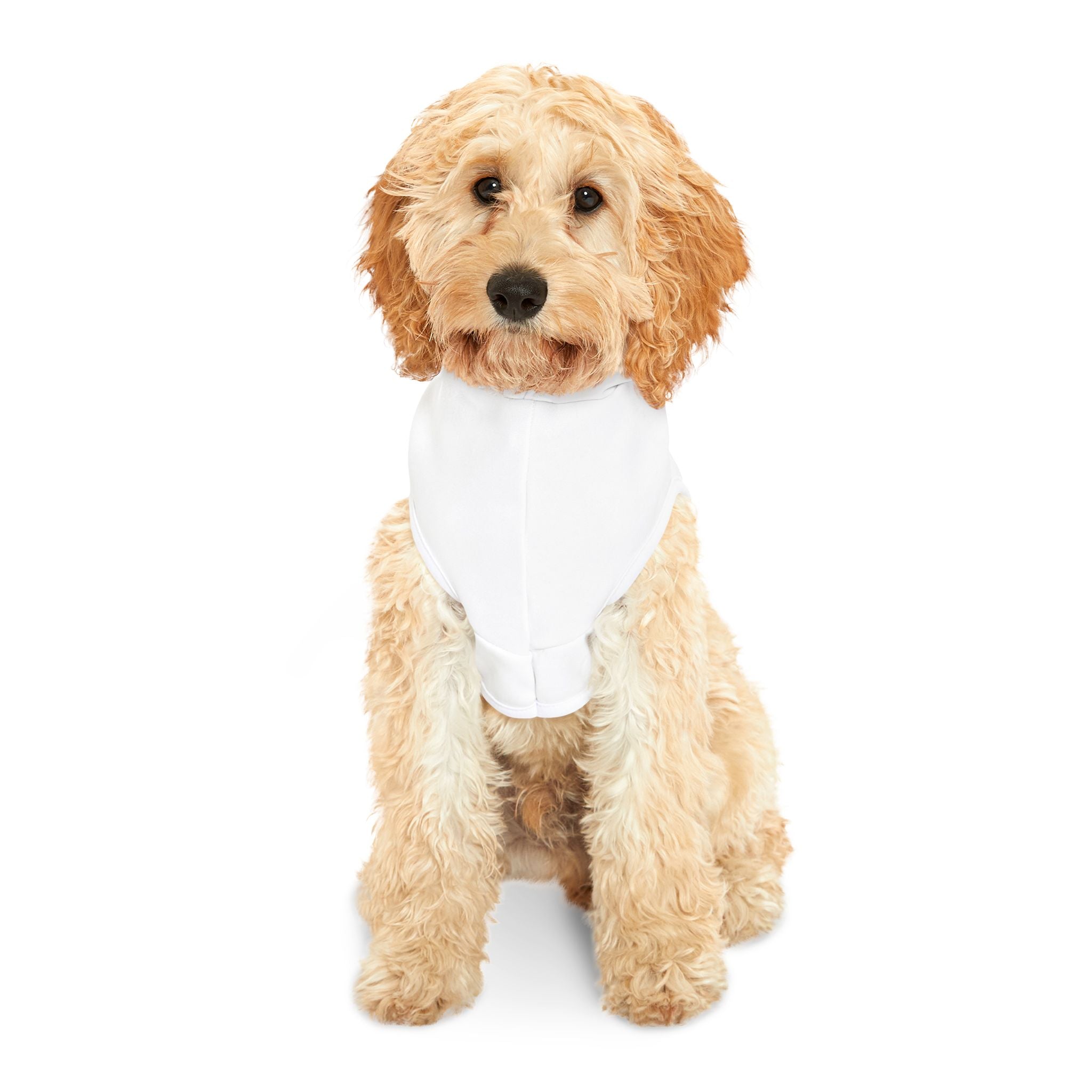 White Pet Hoodie