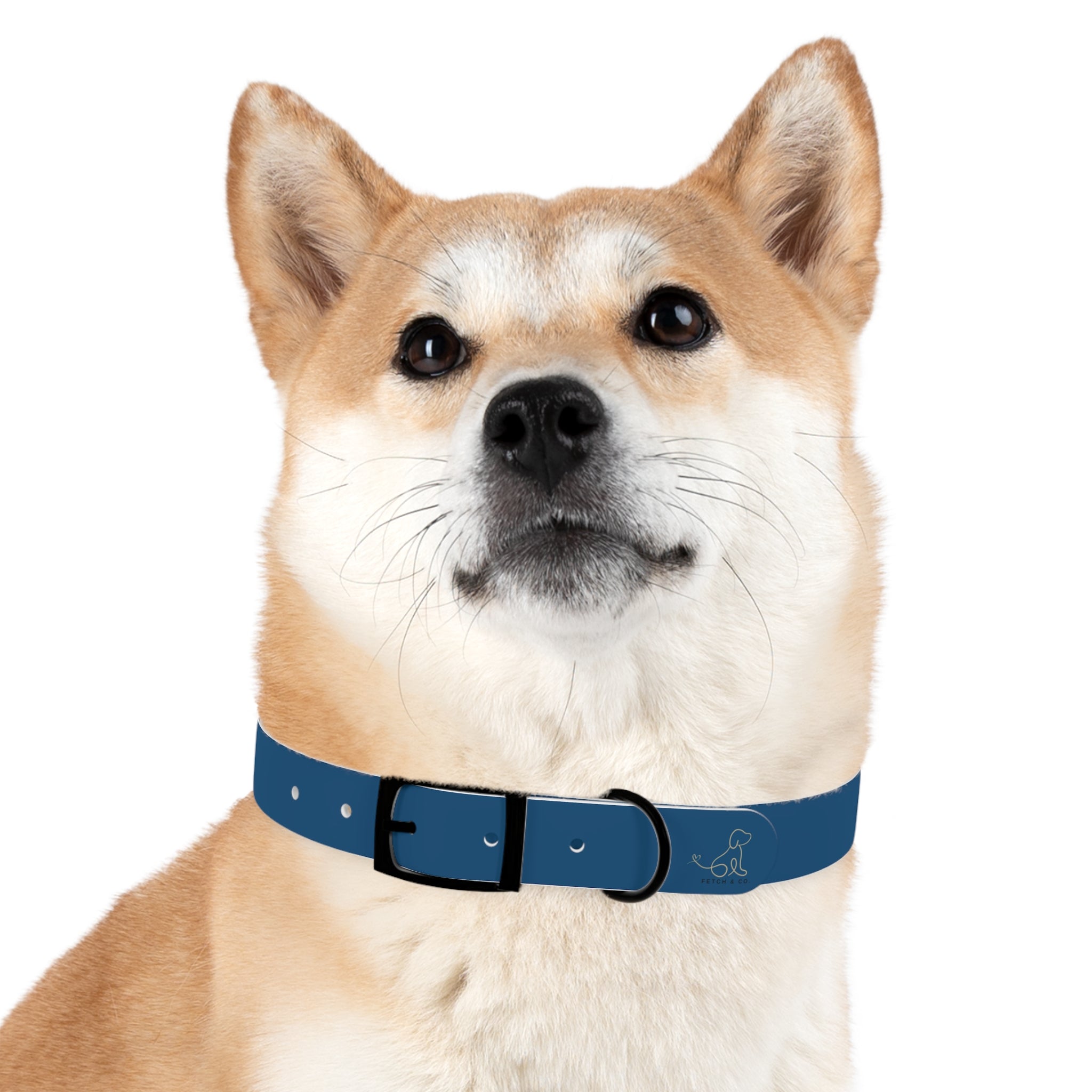 Blue Dog Collar