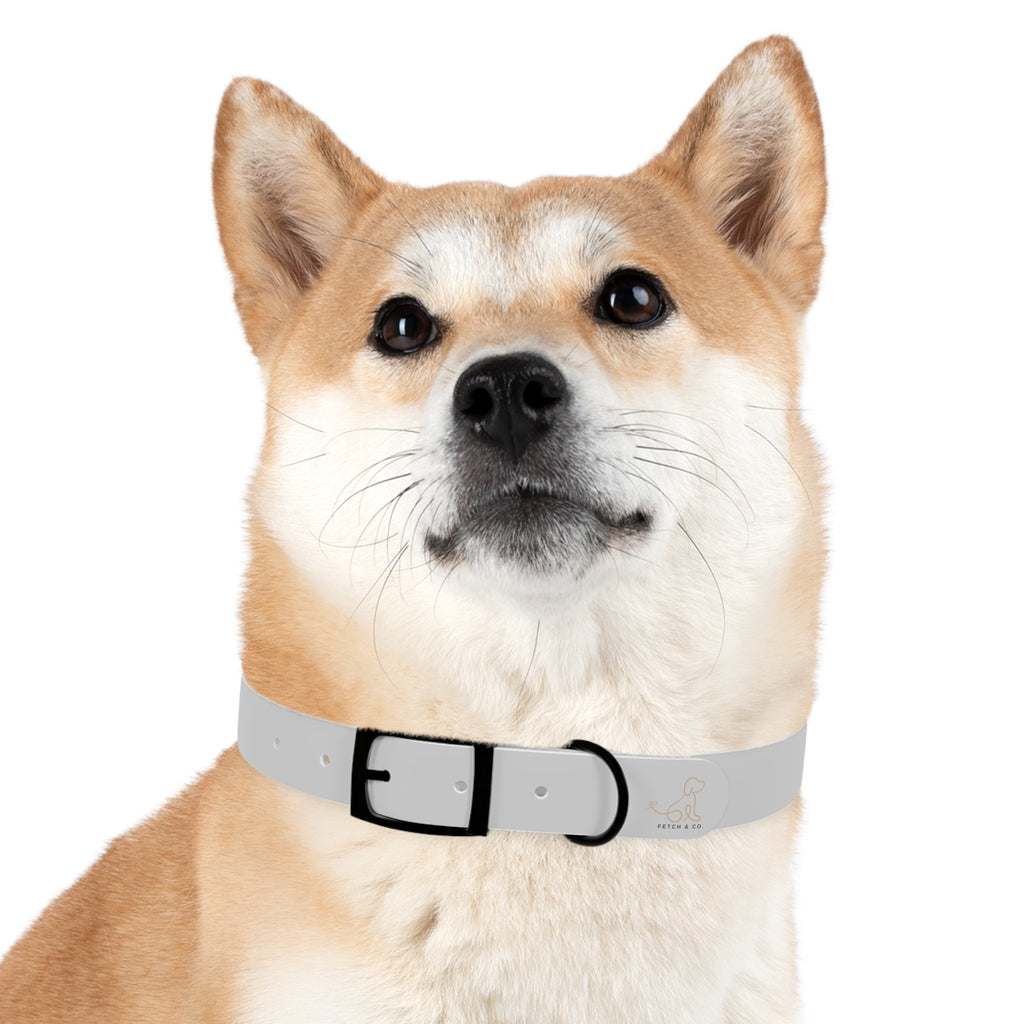 Gray Dog Collar
