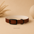 Brown Dog Collar