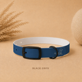 Blue Dog Collar