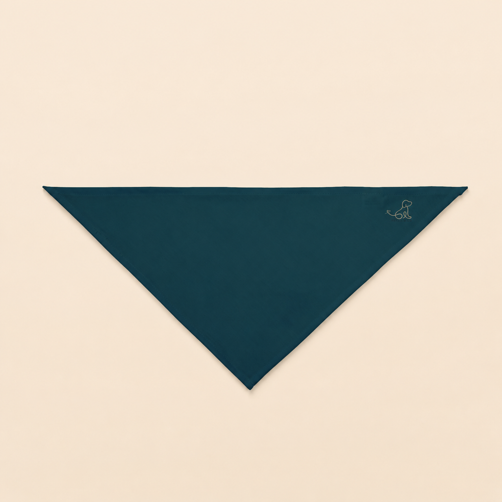 Aqua Blue Pet Bandana