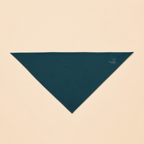 Aqua Blue Pet Bandana