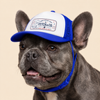 Red, White & Woof Trucker Hat — Patriotic Foam Dog Cap
