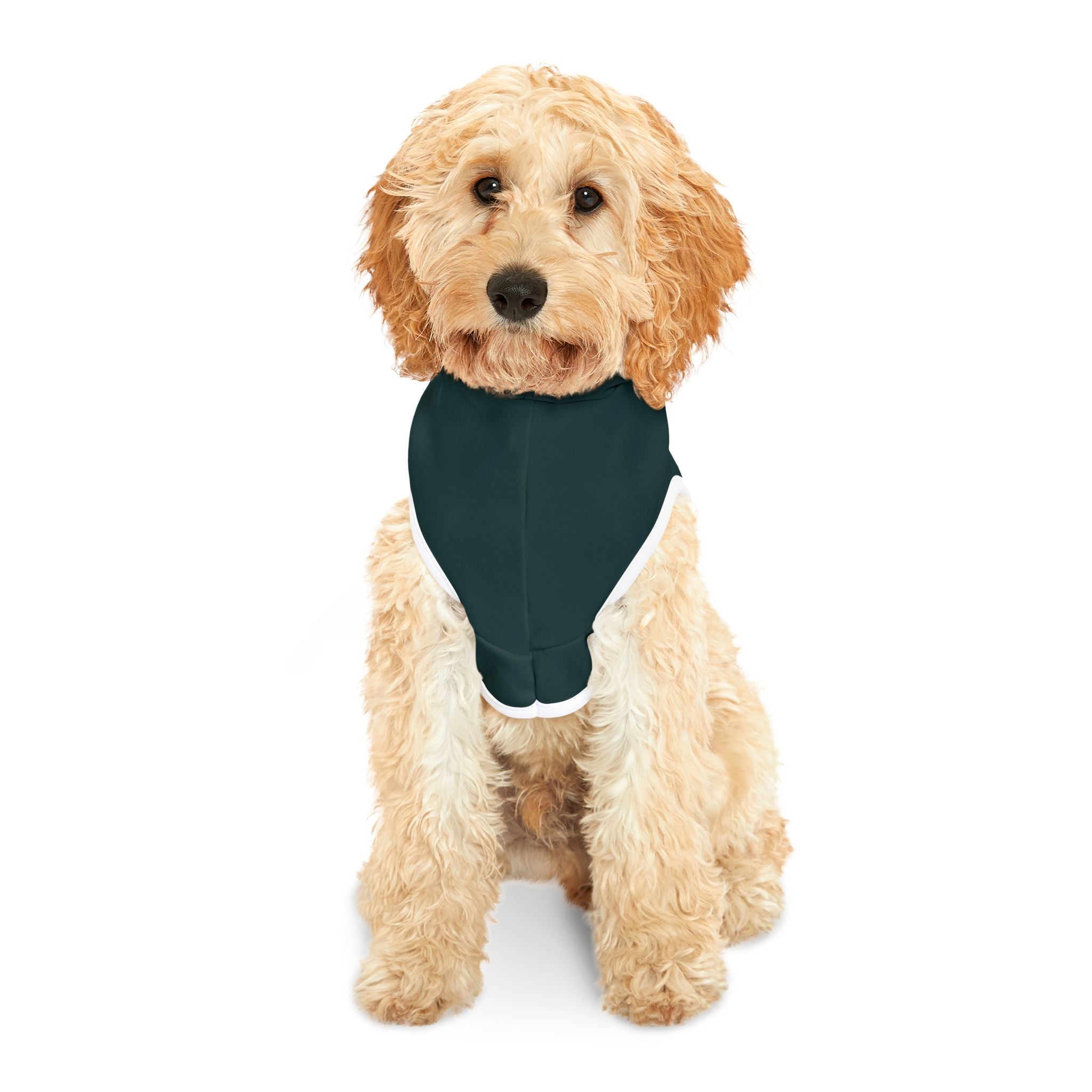 Green Pet Hoodie