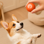 Interactive Automatic Moving Dog Ball Toy