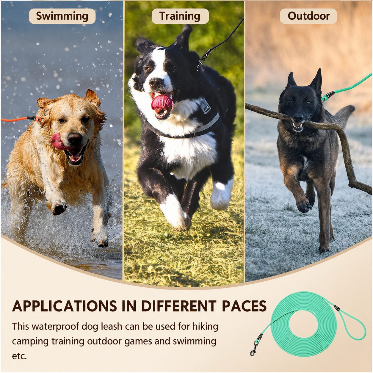 Waterproof Long Dog Training Leash — PVC Recall Lead, 5–30 ft