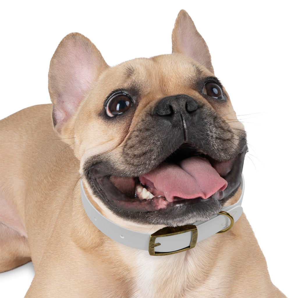 Gray Dog Collar