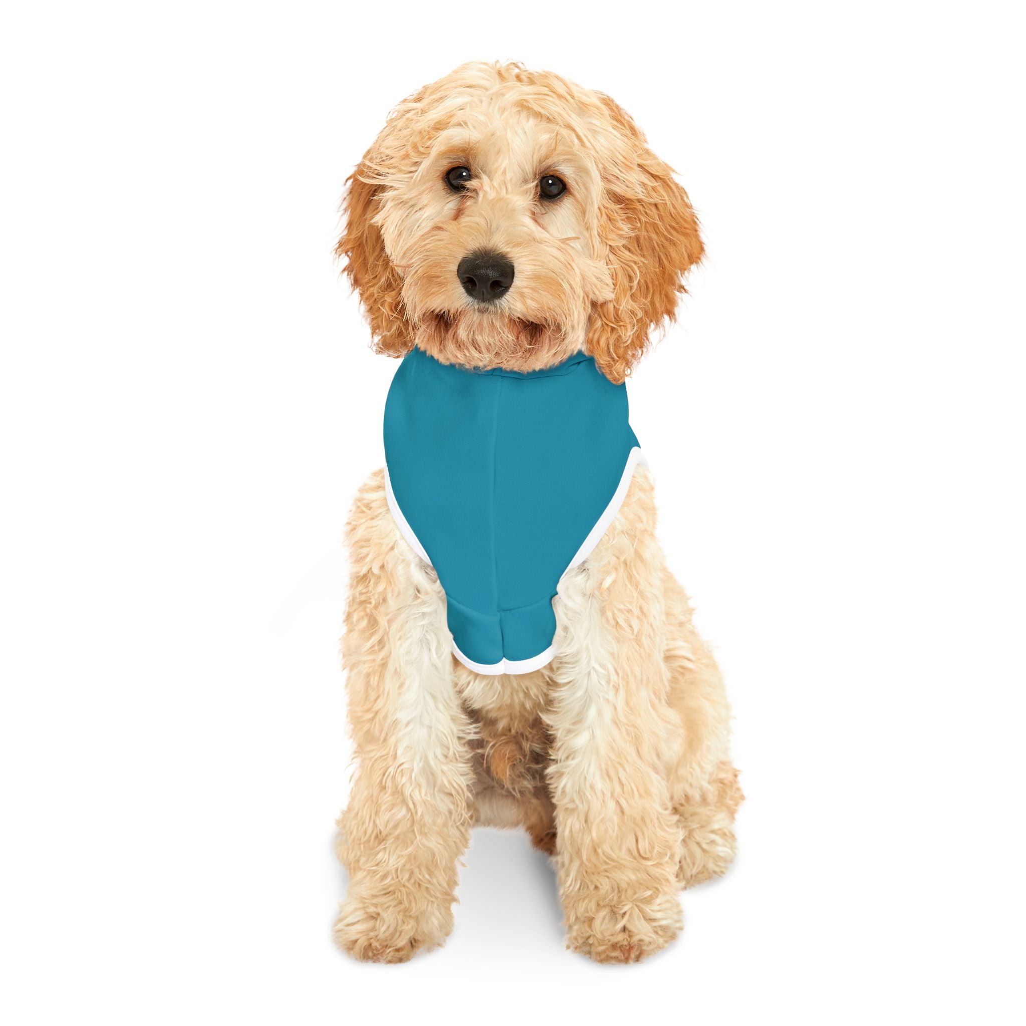 Teal Pet Hoodie