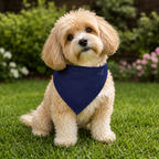 Navy Blue Pet Bandana