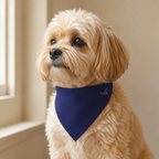 Navy Blue Pet Bandana