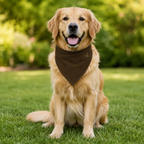Brown Pet Bandana