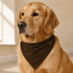 Brown Pet Bandana