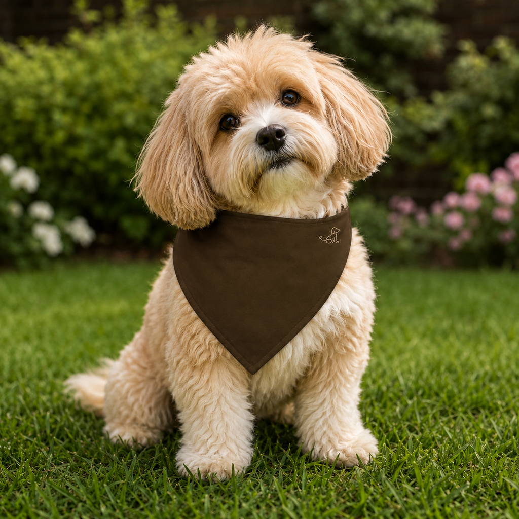 Brown Pet Bandana