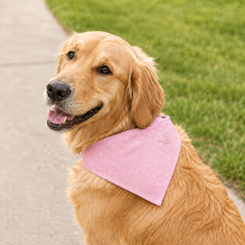Pink Polka Dot Pet Bandana