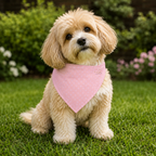 Pink Polka Dot Pet Bandana