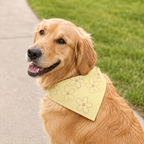 Yellow Floral Pet Bandana