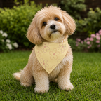 Yellow Floral Pet Bandana