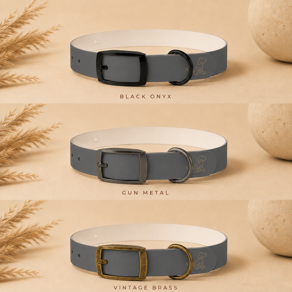 Dark Gray Dog Collar
