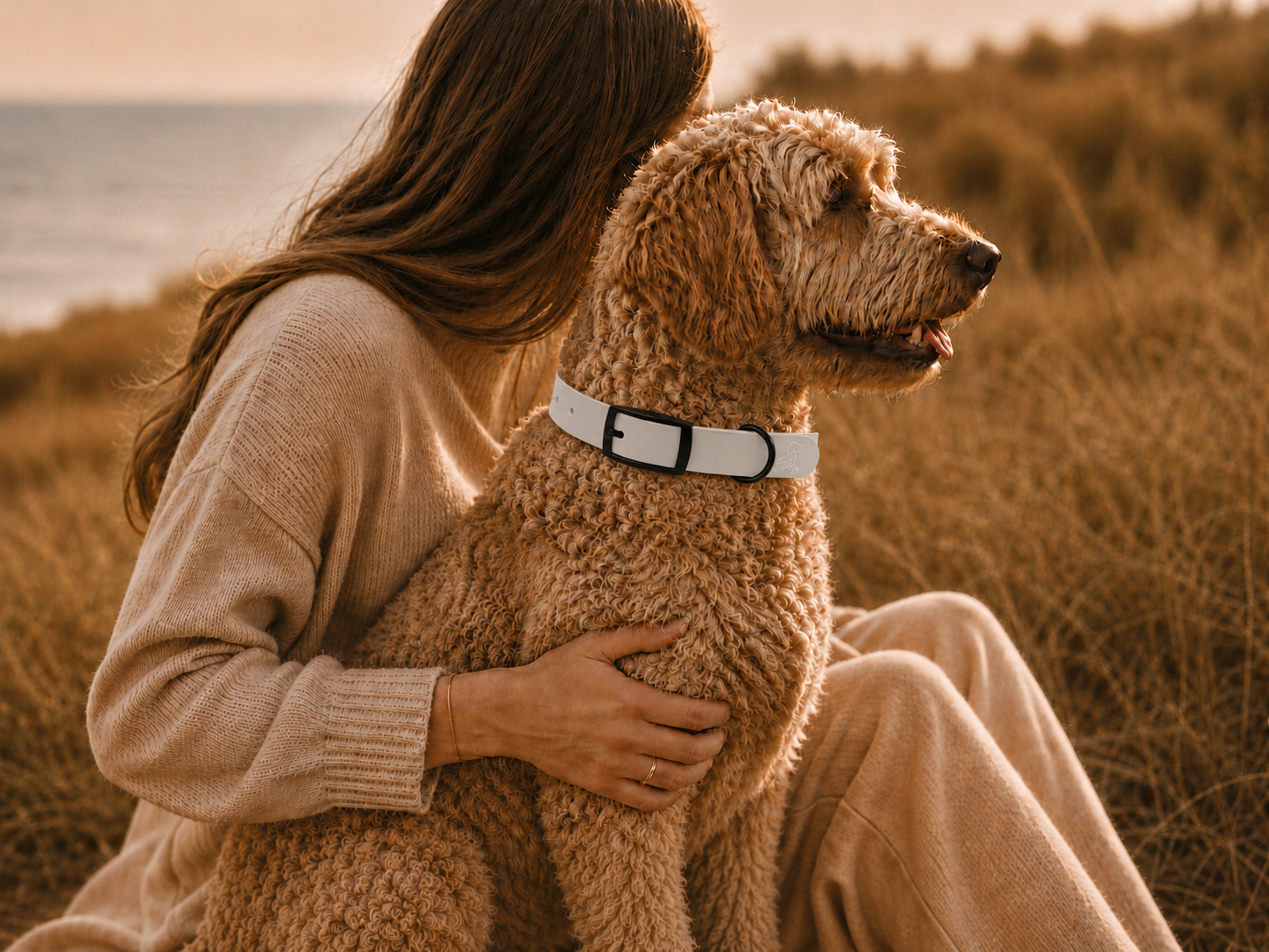 Light Gray Dog Collar
