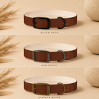 Brown Dog Collar