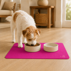 Pink Pet Feeding Mat