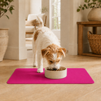 Pink Pet Feeding Mat