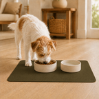 Green Pet Feeding Mat