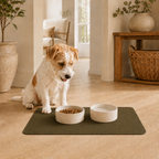 Green Pet Feeding Mat