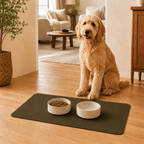 Green Pet Feeding Mat