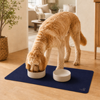 Blue Pet Feeding Mat