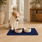 Blue Pet Feeding Mat