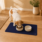 Blue Pet Feeding Mat