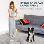 Pet Hair Remover Set with Telescopic Handle – 180° Rotating Metal Carpet & Rug Rake for Dog & Cat Fur